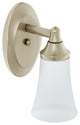 Moen YB2861BN Brushed Nickel Eva One-Globe Bath Light Fixture