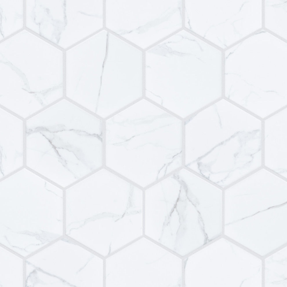 Carrione Super Hex Matte Carrara Porcelain Floor and Wall Tile