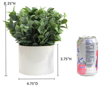 Admired By Nature Artificial Frosted Ruscus Plant With Ceramic Pot