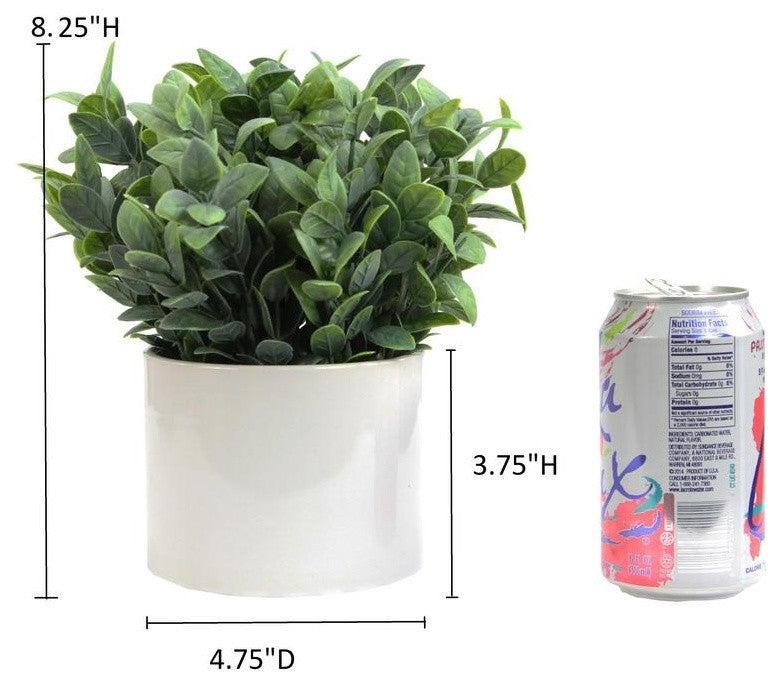 Admired By Nature Artificial Frosted Ruscus Plant With Ceramic Pot