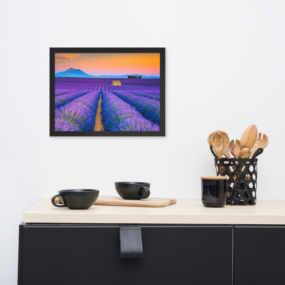 Blooming Lavender Field and Sunset Floral Landscape Framed Photo Wall Art Prints, Black, 12" X 16"