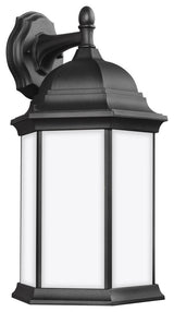 Sevier Large 1-Light Downlight Outdoor Wall Lantern, Black