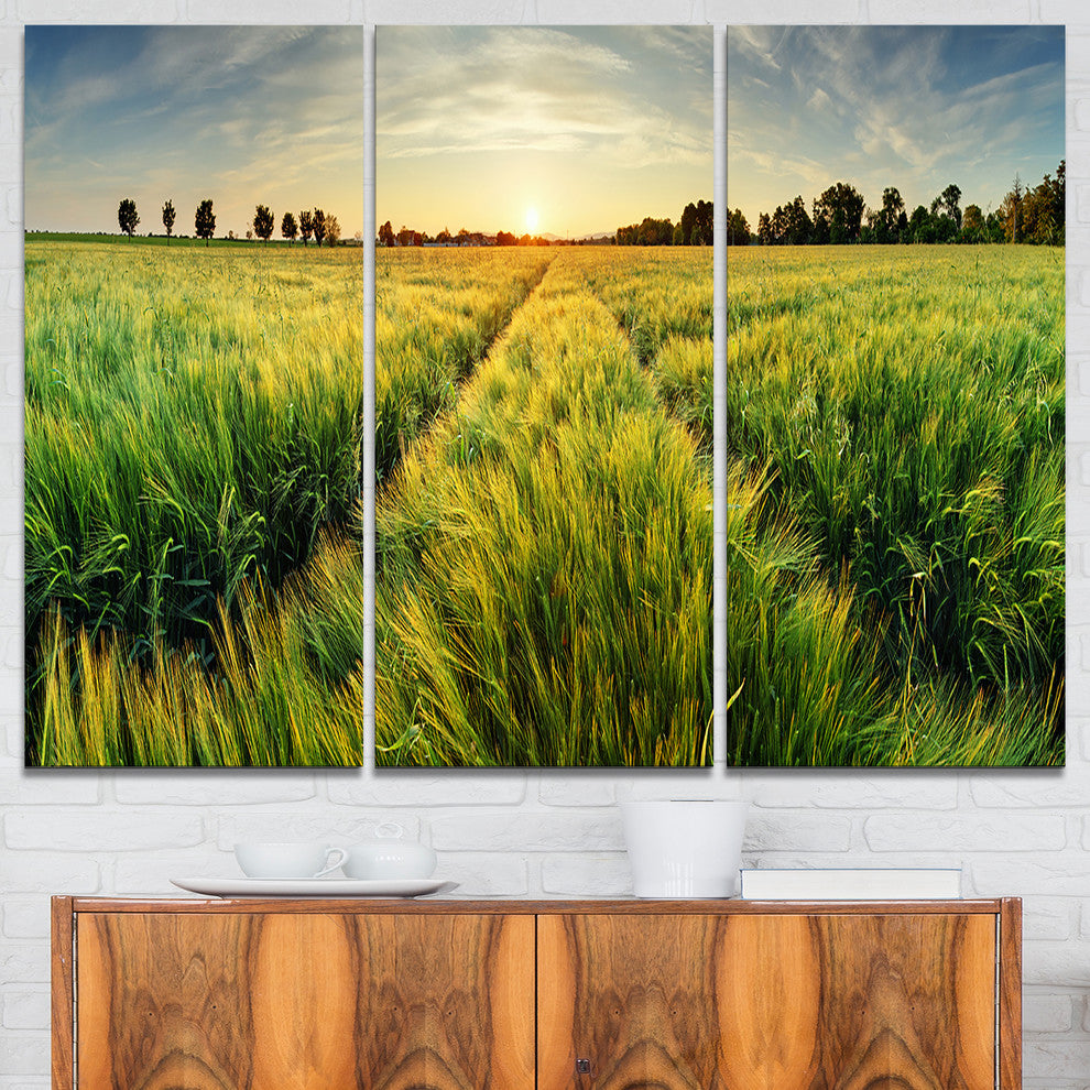 "Green Wheat Field at Sunset" Photo Canvas Print, 3 Panels, 36"x28"