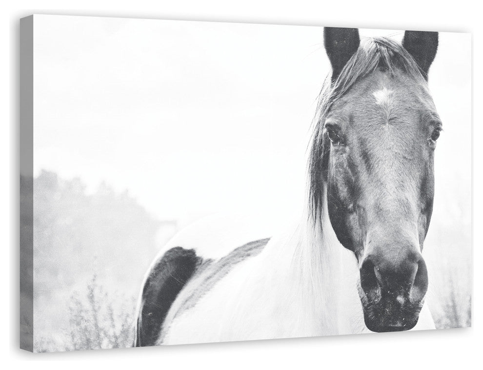 Black and White Lone Horse 32x48 Canvas Wall Art