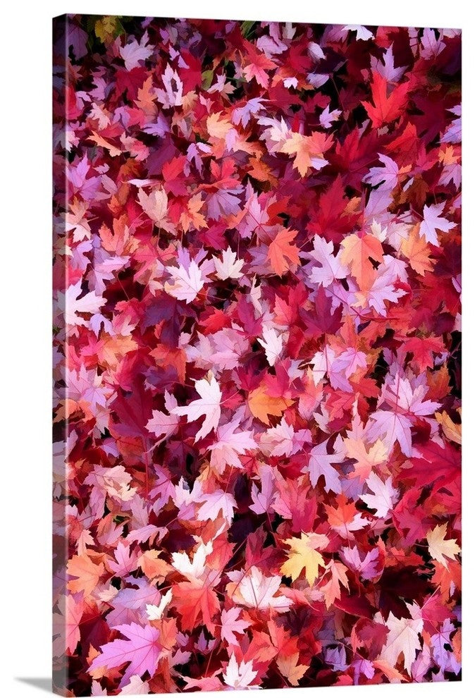 "Autumn Road" Wrapped Canvas Art Print, 16"x24"x1.5"