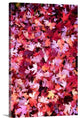 "Autumn Road" Wrapped Canvas Art Print, 16"x24"x1.5"