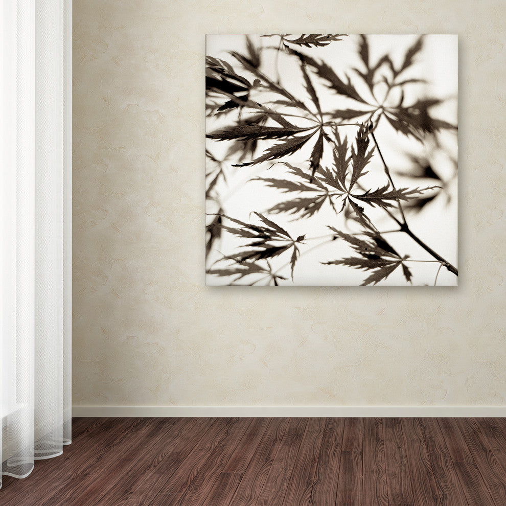 Alan Blaustein ''Florison 50'' Canvas Art, 18x18