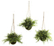 Eucalyptus, Maiden Hair and Berry Hanging Basket, Set of 3