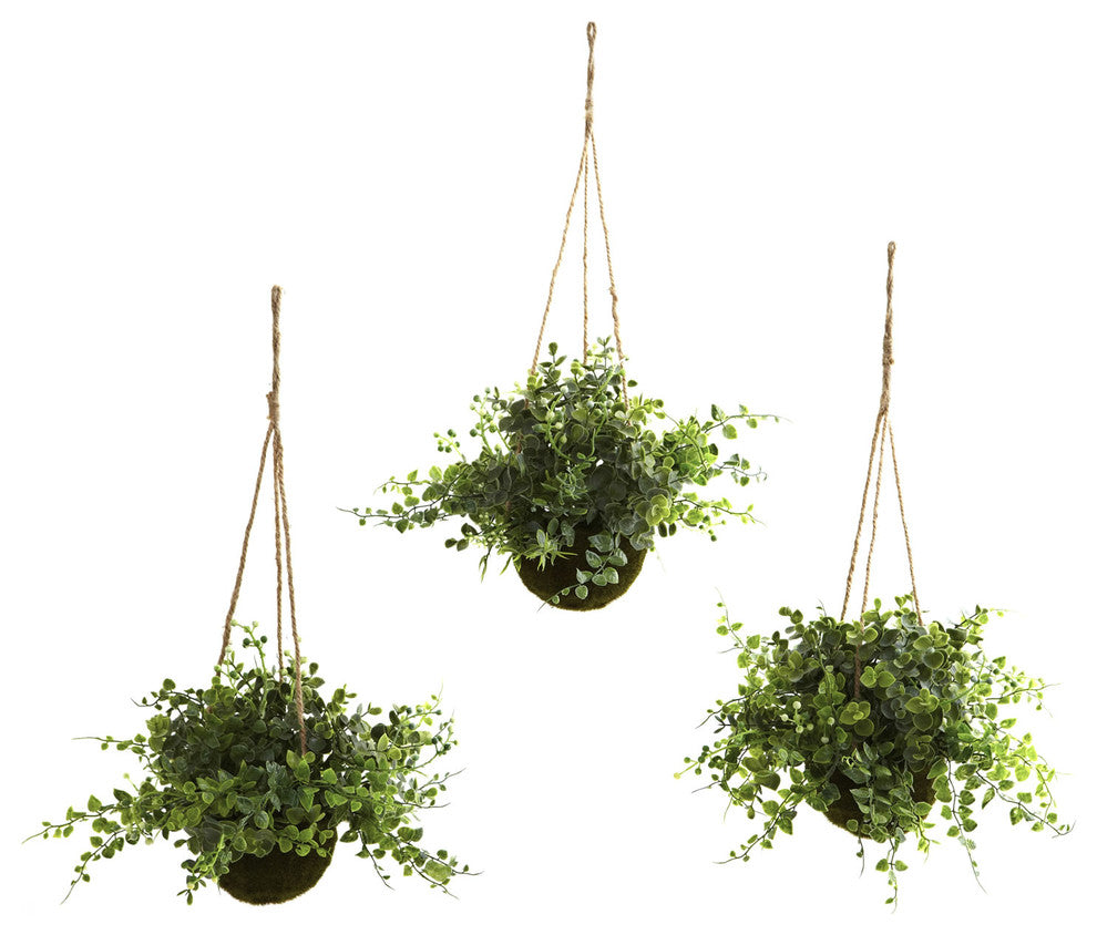 Eucalyptus, Maiden Hair and Berry Hanging Basket, Set of 3