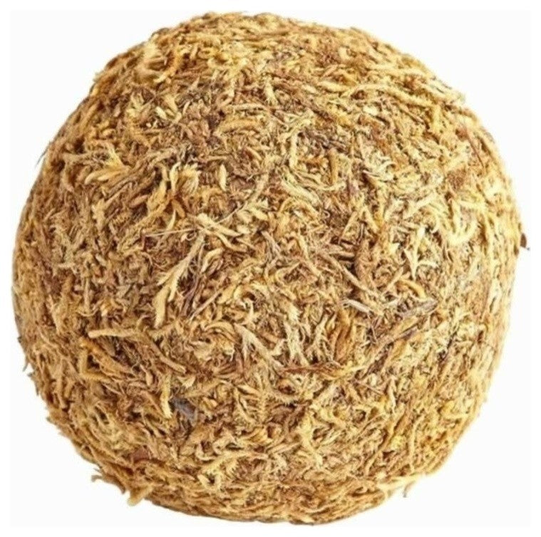 Small St. Augustine Filler