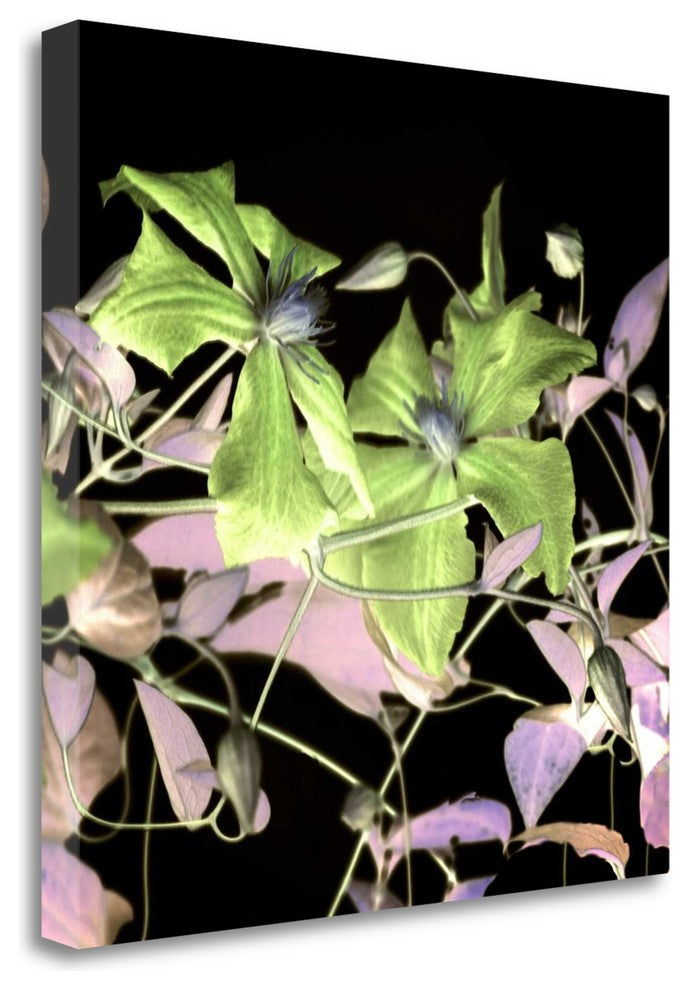 "Floral Color - 17" By Alan Blaustein, Giclee Print on Gallery Wrap Canvas