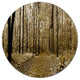 Wooded Forest Panoramic View, Modern Forest Disc Metal Artwork, 11"