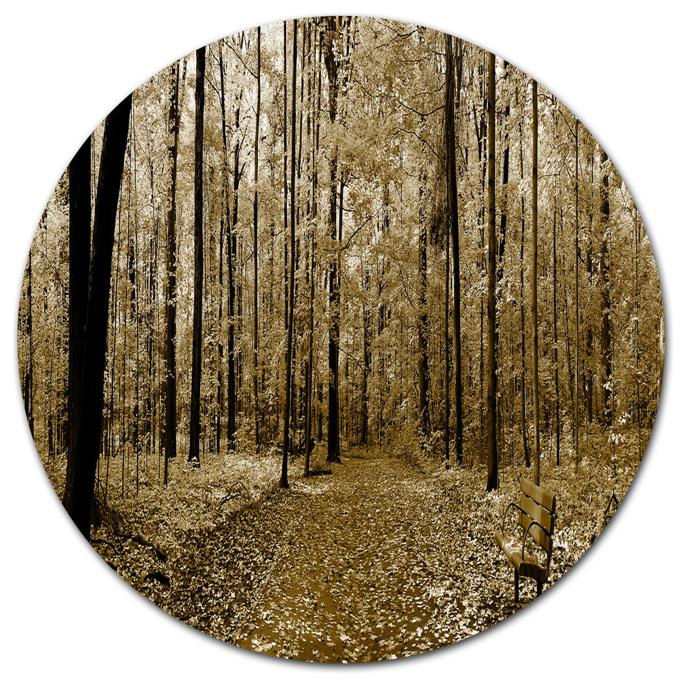 Wooded Forest Panoramic View, Modern Forest Disc Metal Artwork, 11"