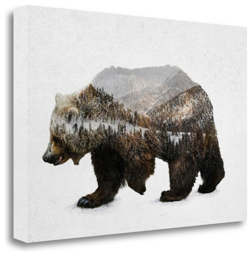 "The Kodiak Brown Bear" By Davies Babies, Giclee Print on Gallery Wrap Canvas