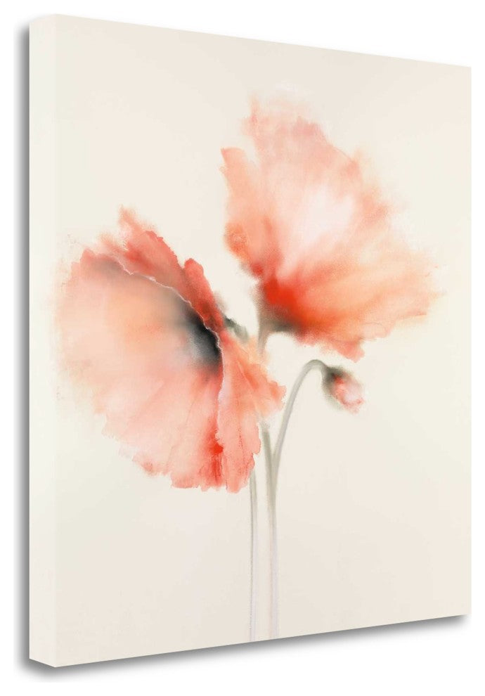 "Pink Chiffon I" By J.P. Prior,Ready to Hang Giclee Print on Gallery Wrap Canvas