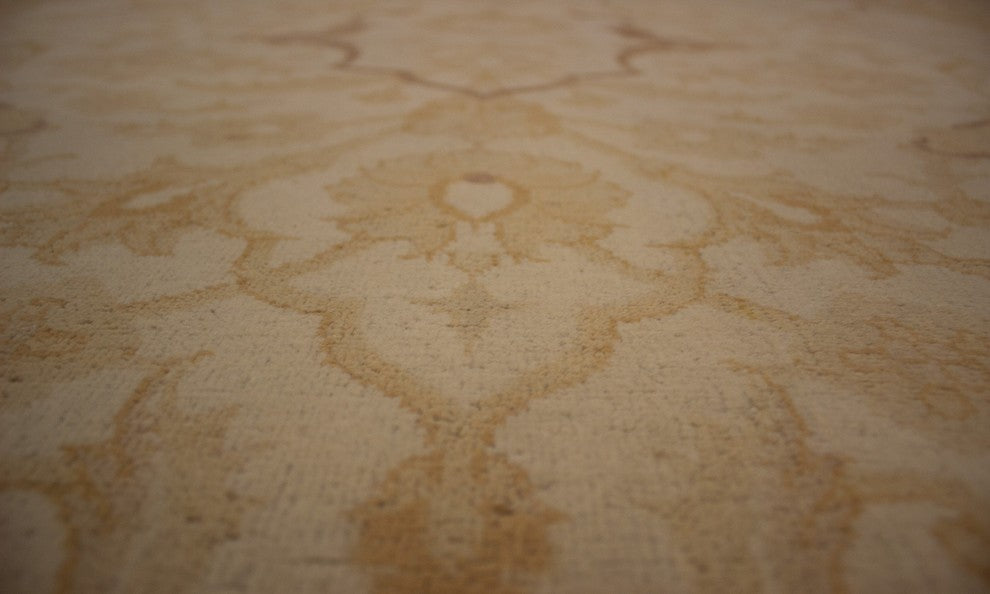 Vegetable-dyed Davina Beige Rug 8'10"x6'2"