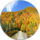 Stowe Countryside View Panorama, Landscape Round Metal Wall Art, 11"