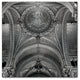 Alan Blaustein 'Lyon I' Canvas Art, 24x24