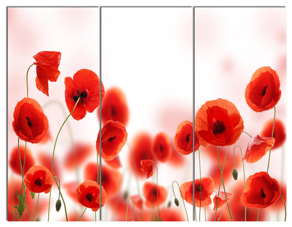Poppy Flowers on Pink Background, Floral Triptych Canvas Print, 36x28, 3 Panels
