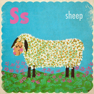 "Sheep" Painting Print on Canvas by Curtis