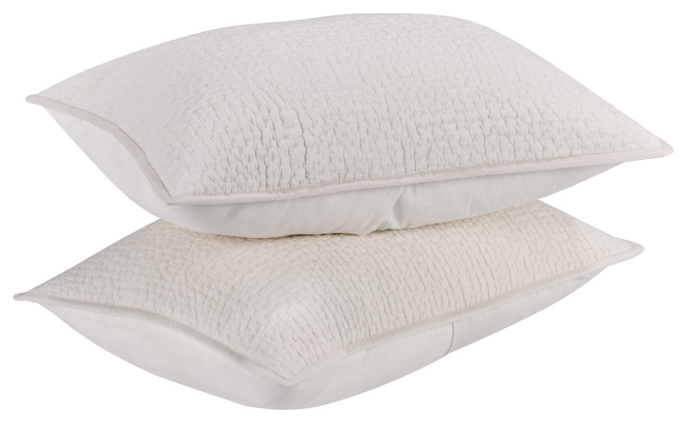 Danica 100% Cotton Sham by Kosas Home, Ivory, Standard