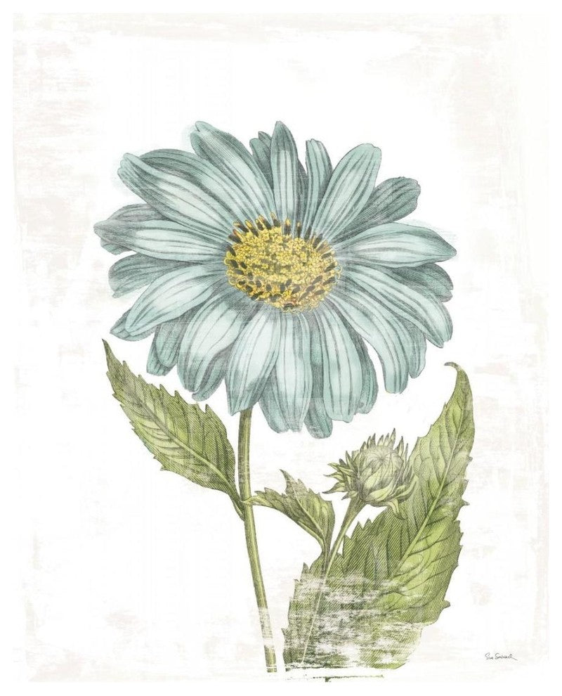 "Bloemen Boek II on White" Digital Paper Print by Sue Schlabach, 18"x22"