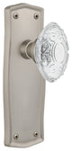 Prairie Plate Double Dummy Crystal Victorian Knob, Satin Nickel, PRACVI