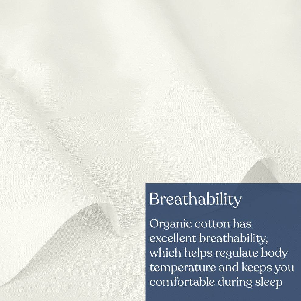 Delara GOTS Certified 100% Organic Cotton Flat Sheet 400TC, Ivory, Queen, 96"x105"