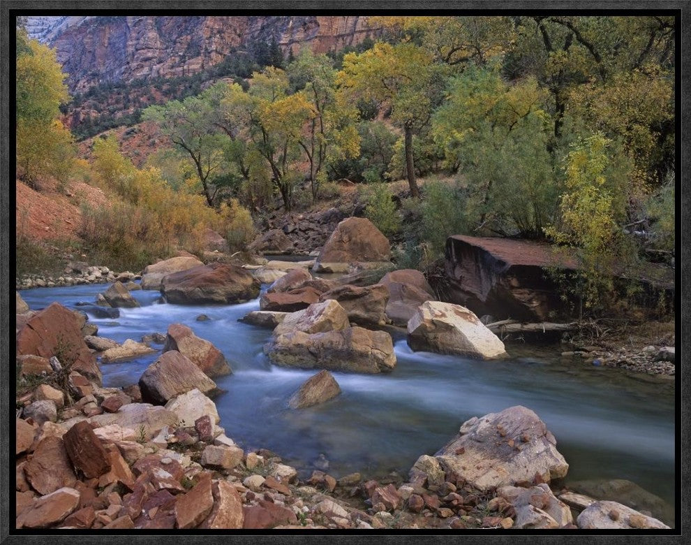 Virgin River Flowing Through Canyon In Autumn, Zion National Park, Utah, 16"x12"