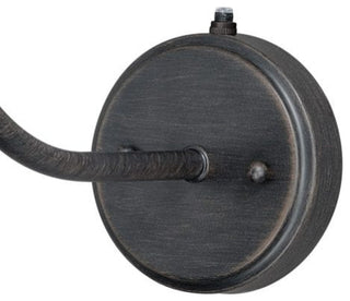 Outland 9.75-in Long Arm Outdoor Wall Light Aged Iron and Light Gold