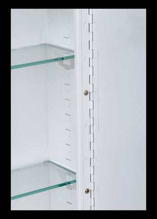 Deluxe Series Medicine Cabinet, 24"x24", Stainless Steel Frame, Surface Mount