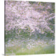 "Floral Froth I" Wrapped Canvas Art Print, 20"x20"x1.5"