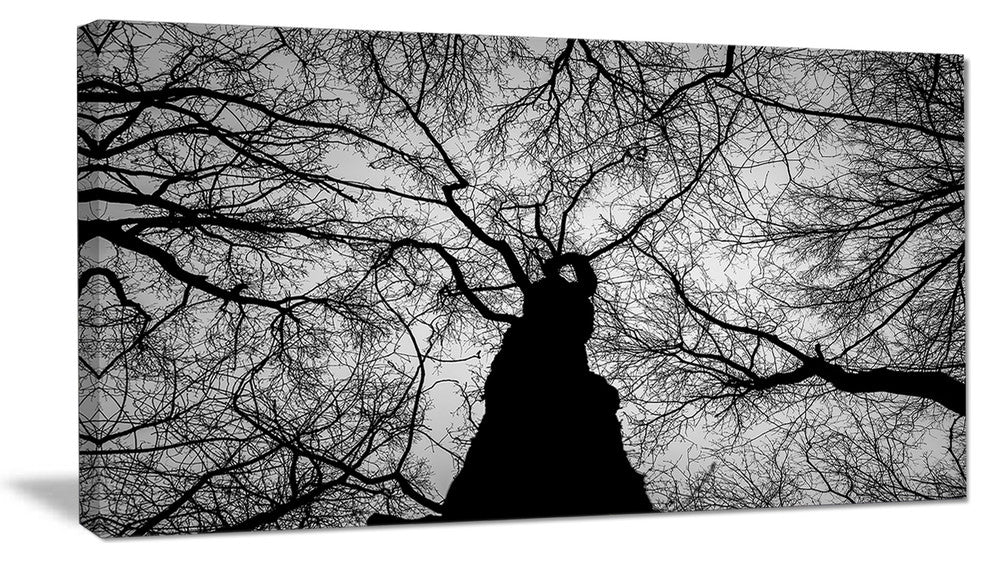 Hoto of Winter Branches, Landscape Canvas Art Print, 40x20