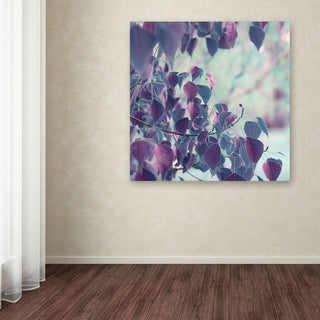 'Summer Thoughts' Canvas Art by Beata Czyzowska Young