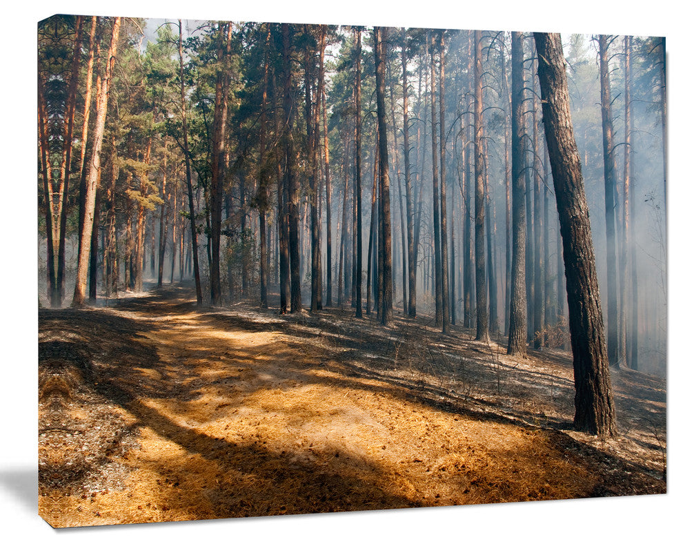 Fire in Forest with Flame and Smoke, Modern Forest Canvas Art, 40"x30"