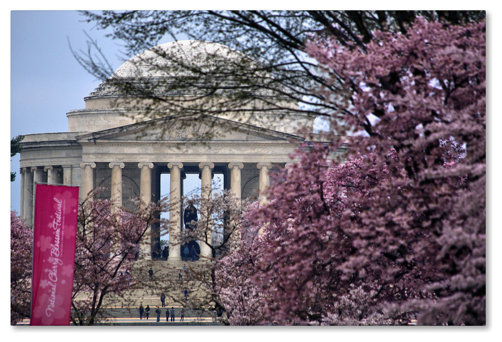 CATeyes ''Cherry Blossom Festival'' Canvas Art, 30x47