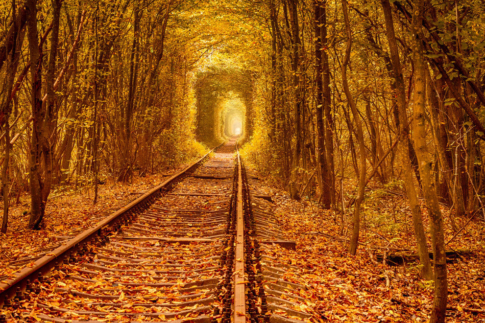 Ukraine Forest Railway Tunnel of Love Landscape Photo Canvas Wall Art Print, 24" X 36"