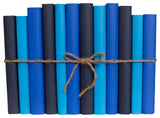 Decorative Books - Denim Paper Wrapped Book Bundle - 1 foot of Blue Books