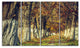 Colorful and Serene Autumn Forest, Modern Forest Canvas Art, 48"x28", 4 Panels