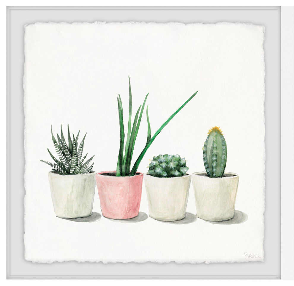 "Potted Succulents" Framed Painting Print