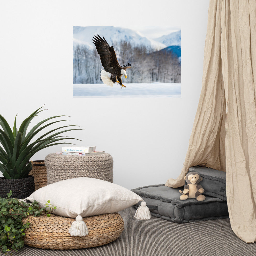 Adult Bald Eagle Alaskan Winter Animal Wildlife Photograph Loose Wall Art Print, 24" X 36"