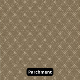 Ribbon Pattern 3/8 Thick Indoor Area Rug Carpet, Parchment, 4x6