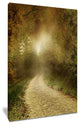 "Country Road Through Fall Scenery" Landscape Canvas Photo Print, 16"x32"