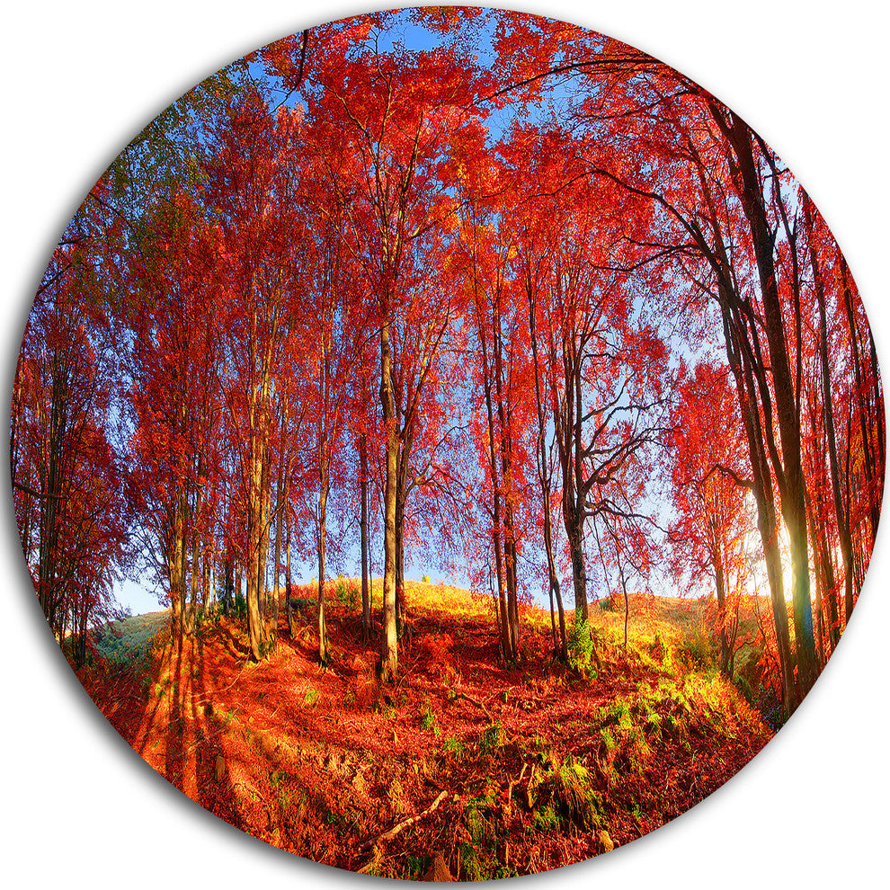 Red Autumn Forest In Carpathians, Landscape Disc Metal Wall Art, 38"