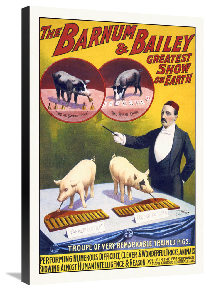 Troupe Of Very Remarkable Trained Pigs, 20x30