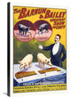 Troupe Of Very Remarkable Trained Pigs, 20x30