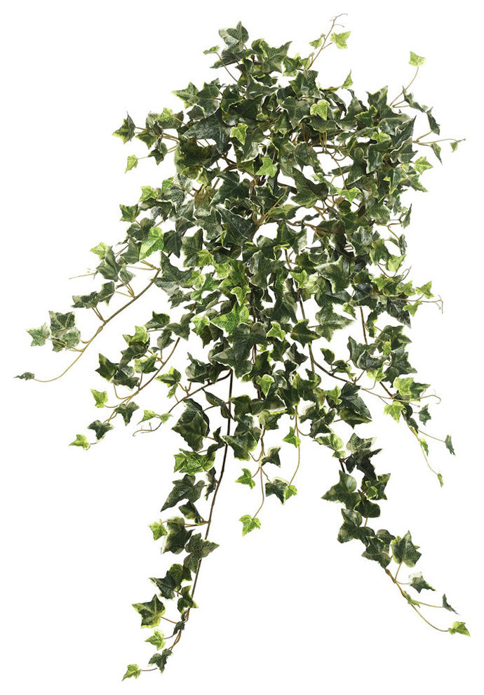 Vickerman 26" Mini Varying. Ivy Hanging Bush, Green
