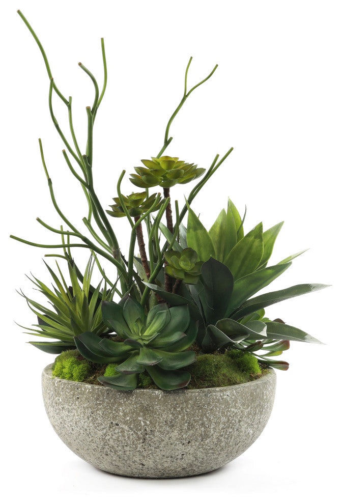 Faux Succulents & Agave Plant in Round Concrete Bowl