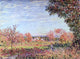 Alfred Sisley September Morning, 21"x28" Wall Decal Print