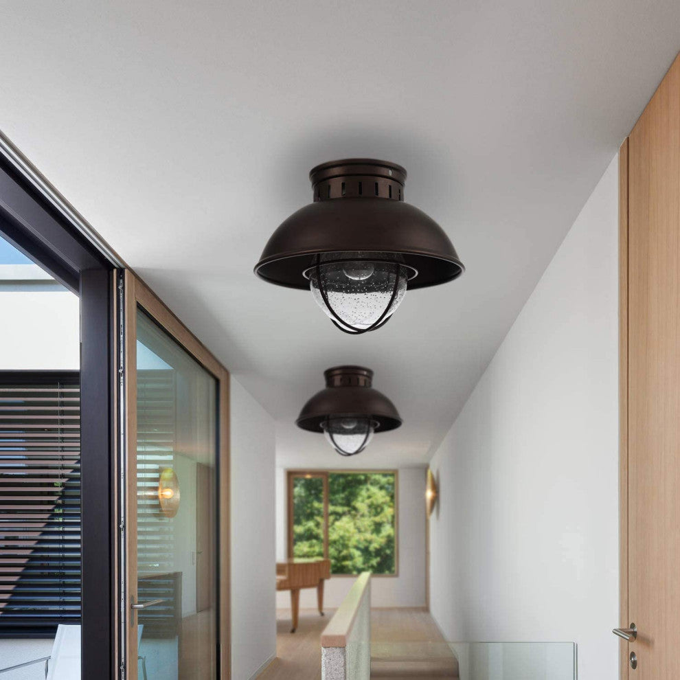 Farmhouse Flush Mount Ceiling Light Fixture, Cage, Glass Shade